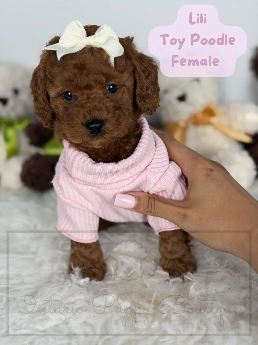 Lili